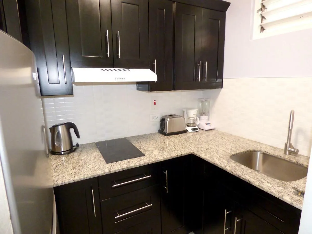 公寓式酒店 Beach One Bedroom Suite A17 奥乔里奥斯